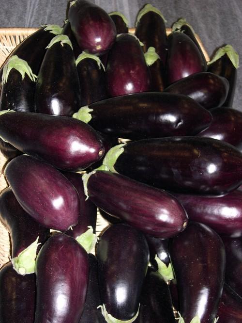 Calabacín y berenjena marcan una buena semana con precios medios por encima del euro