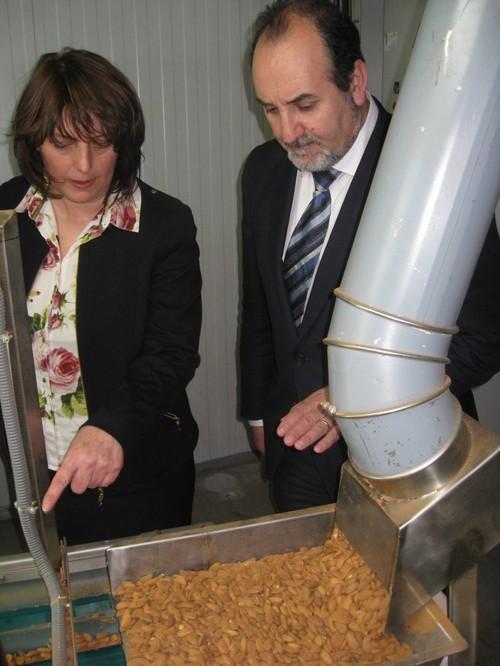 Almería exportó hasta septiembre almendra valorada en 27,2 millones de euros, un 150% más que en 2013