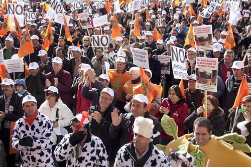 El Gobierno aprueba una nueva PAC para España que, para UPA, 'no acabará con las injusticias en el reparto de las ayudas'