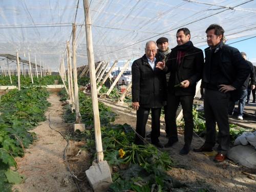 El alcalde de El Ejido exige que las ayudas anunciadas por la Junta para paliar los daños causados por el granizo lleguen cuanto antes