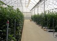 La Estación Experimental de Cajamar Las Palmerillas finaliza la primera fase del proyecto BIOGREEN
