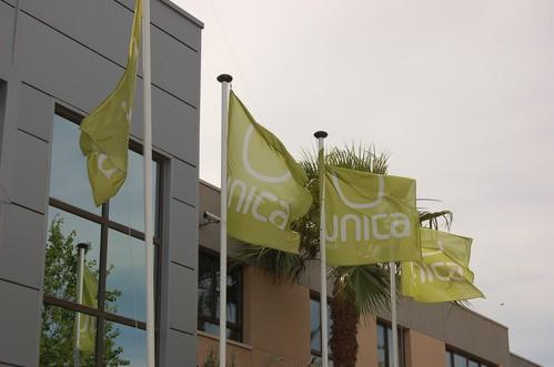 Unica Group se coloca a la cabeza del ranking hortícola nacional como exportadora de hortalizas