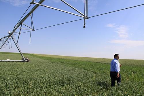UPA pide a Agricultura una negociación con Industria y sector para rebajar el coste eléctrico a los regadíos
