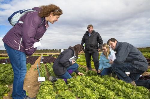 Rijk Zwaan reúne a la cadena agroalimentaria en las V Jornadas de Cultivos de Invierno al Aire Libre