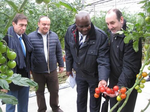 La Junta de Andalucía muestra al embajador de Kenia el modelo de horticultura sostenible de Almería