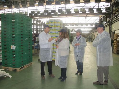 La directora general de Economía Social ofrece el apoyo de la Junta a las cooperativas agrícolas para ganar tamaño