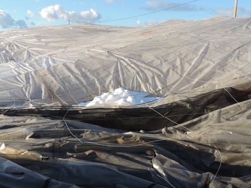 Los agricultores muestran su preocupación por el retraso de la Consejería en la convocatoria de las ayudas por el granizo
