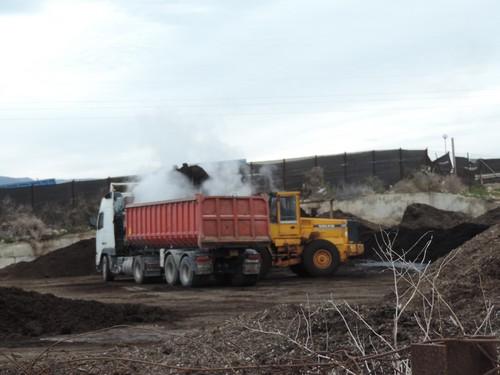 La Junta asegura que Ejido Medio Ambiente no ha demostrado, tras el último incendio, que pueda gestionar adecuadamente la rafia