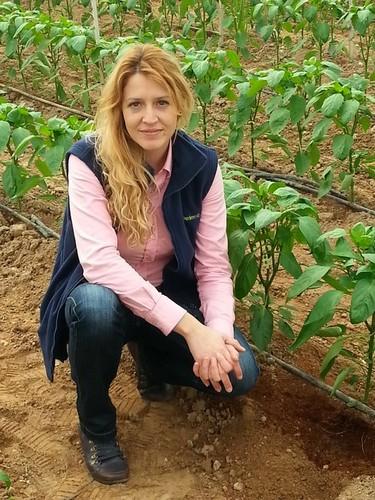 “Cultivar en sistema mixto es tan sencillo como hacerlo en suelo”