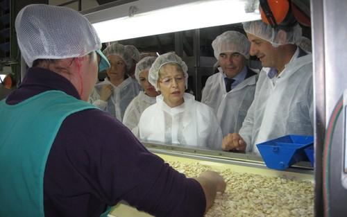 La Renta Agraria de Andalucía aumentó un 11,3% en 2014 y el valor de la producción rozó los 11.000 millones de euros, según la Junta