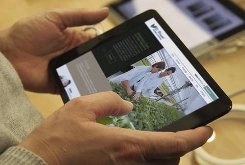 Semilleros El Plantel estrena página web para estar aún más cerca del agricultor