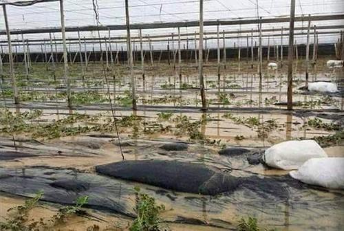 Los temporales no dan tregua a los agricultores almerienses