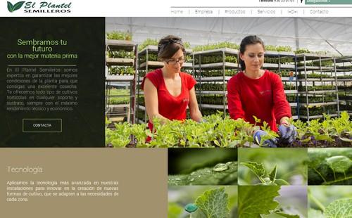 El Plantel Semilleros da un salto de calidad con una nueva web más profesional