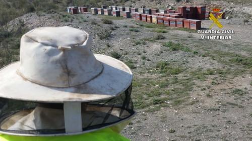 La Guardia Civil detiene al autor de la sustracción de más de 50 colmenas en explotaciones apícolas