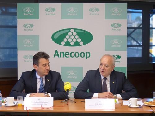 Anecoop consigue la segunda mejor campaña de su historia y abre dos nuevas empresas en Francia y Reino Unido