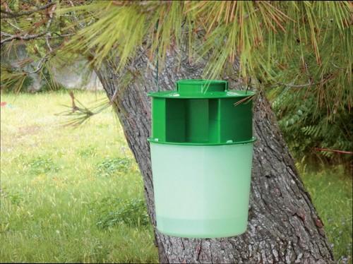 Koppert ofrece la trampa más potente del mercado contra la plaga de procesionaria del pino en zonas urbanas y forestales
