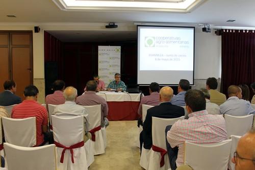 Manuel Galdeano, presidente de las cooperativas almerienses