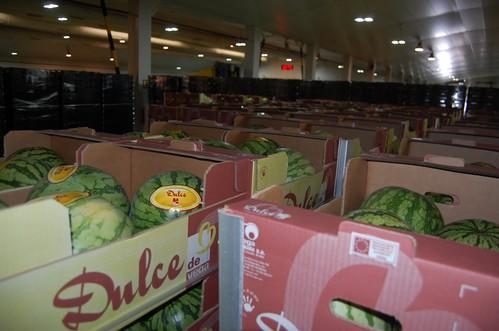 Vegacañada inicia su campaña de melón y sandía con la calidad y el sabor ‘por bandera’, gracias a su marca emblemática ‘Dulce de Vega’, además de ‘Fashion’