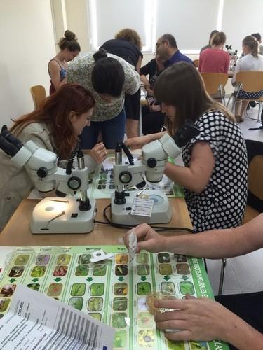 Expertos europeos eligen Almería para recibir formación en horticultura ecológica en invernadero