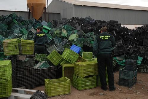 La Guardia Civil detiene a los autores del hurto de 380 cajas de una explotación agrícola