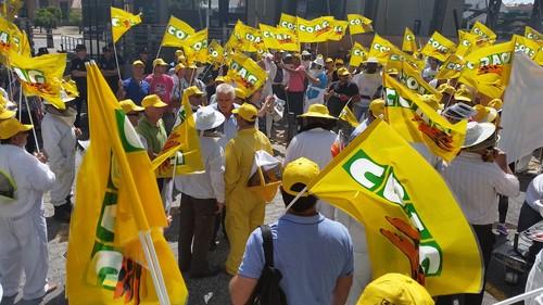 Cientos de apicultores de COAG se manifiestan ante la Consejería y consiguen cambios en al Agroambiental