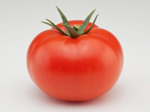 Potential F1*, el único tomate larga vida con gran calibre sostenido durante todo el ciclo