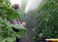 Asaja logra que los agricultores no paguen IVA en las transmisiones de derechos de pago único de la PAC