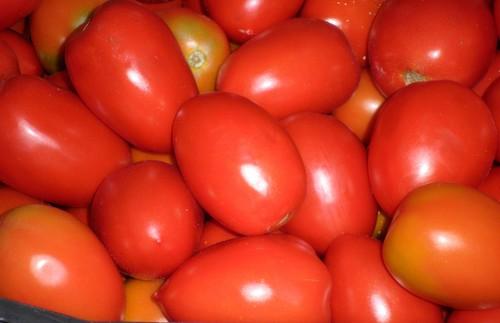 Roban 1.700 kilos de tomates no aptos para el consumo en Sevilla