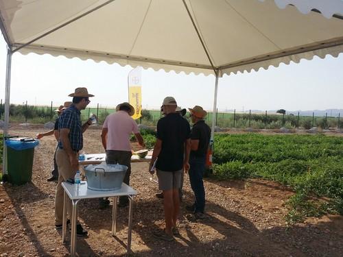 Nunhems® se posiciona en melón y sandía con nuevas variedades de sabor que fidelizan al consumidor