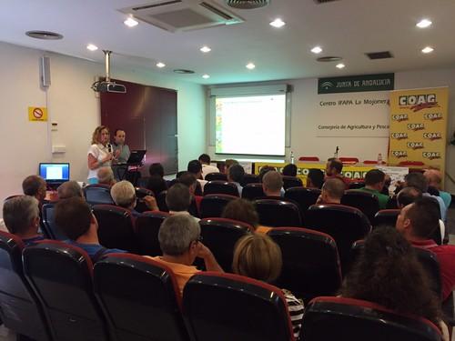 El seguro creciente para hortícolas bajo cubierta se presenta este año con importantes novedades para los agricultores