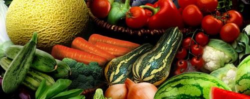 Carlos Cabanas: “El presupuesto de la Secretaría General de Agricultura y Alimentación se enfoca hacia las líneas de políticas cofinanciadas por la UE y de la PAC”