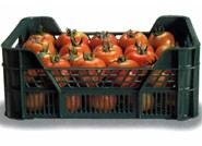 Gran interés del sector hortofrutícula español por los mercados asiáticos