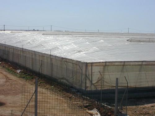 El paro en agricultura baja en agosto un 2,98% alcanzando la cifra de 194.167 desempleados