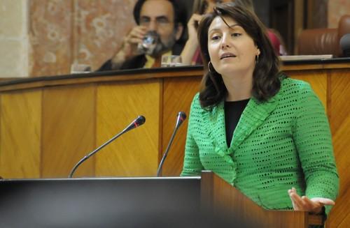 El PP logra que la Junta se comprometa a impulsar un “Plan integral de eliminación de residuos agrícolas en el campo almeriense”