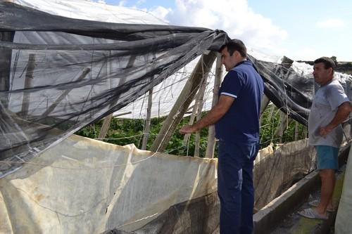 COAG Almería valora en torno a 1.000 el número de hectáreas afectadas por las inundaciones en el Poniente