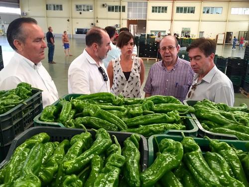 El delegado de Agricultura inicia en Femago una ronda de contactos con el agro almeriense para conocer sus demandas y necesidades