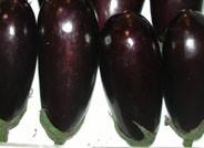 La berenjena entra en la recta final de septiembre por encima de los 0,75 euros el kilo