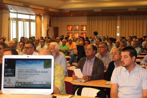 Cajamar y DCOOP ayudan a los olivareros andaluces a combatir la amenaza de la Xylella fastidiosa