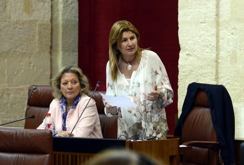 Espinosa: “La Junta tiene que corregir la injusticia que supone para Almería que de miles de kilómetros de caminos rurales sólo vaya a arreglar dos”