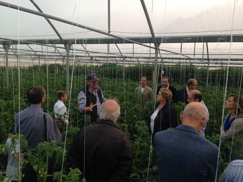 Med Hermes Vegetable Seed sede de la Academia Italiana de la cocina