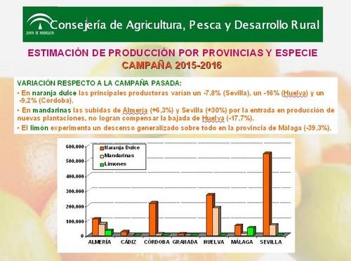 El primer aforo de cítricos para la campaña 2015-2016 prevé una producción de 1,7 millones de toneladas en Andalucía