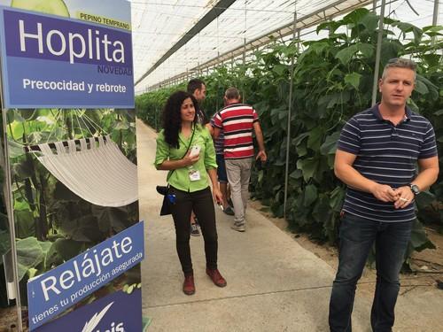 Seminis presenta en unas jornadas su nuevo pepino holandés Hoplita