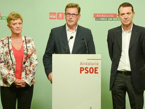 El PSOE reclama al Gobierno del PP que prorrogue la rebaja de las peonadas necesarias para acceder al subsidio agrario