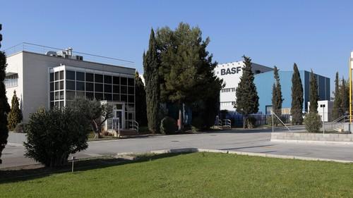 BASF ofrece Soluciones AgCelence para el cultivo de lechuga