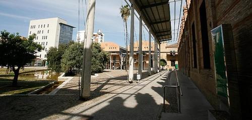 La Junta ordena el pago de 56,7 millones a las Organizaciones de Productores de Frutas y Hortalizas para sus programas operativos