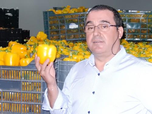 El director de Aprovisionamiento de Agroponiente afirma que 'los resultados de nuestro estudio comparativo de precios refleja el amplio compromiso con el agricultor'