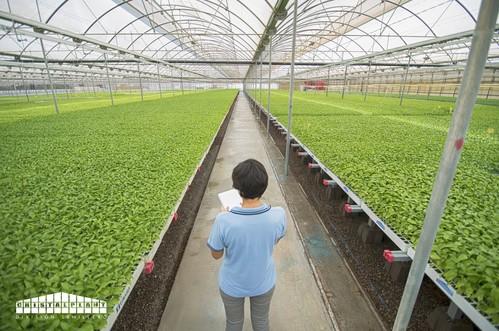 Cristalplant acude a Madrid para conocer los últimos avances del sector hortofrutícola