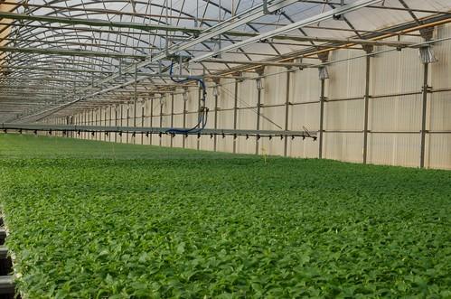 Campoejido presta servicio a más de 2.700 agricultores de toda la Comarca del Poniente