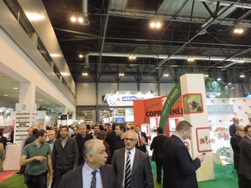 Fruit Attraction cierra la más completa de sus ediciones confirmándose como el principal evento para la comercialización de frutas y hortalizas de la Unión Europea