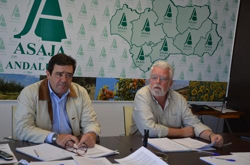 ASAJA-Andalucía denuncia el estupor que está creando en el campo la gestión del pago del anticipo de la PAC